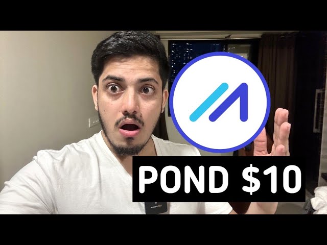Why POND Is Up... 🤩 Marlin(POND) Crypto Token Analysis