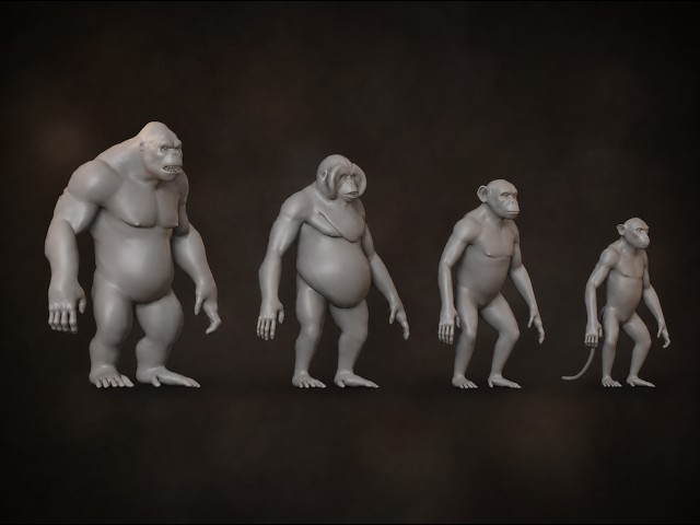 Apes & Monkeys Base Mesh 3D Pack | Gorilla, Chimpanzee & Orangutan Showcase (Unity, Unreal, Blender)
