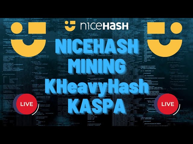 KASPA Mining on NICEHASH 🔥LIVE🔥 #crypto #gpumining #kaspa