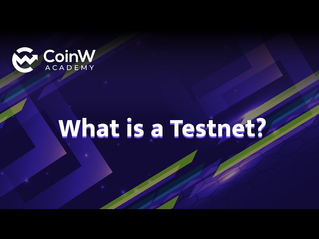 What is Testnet?