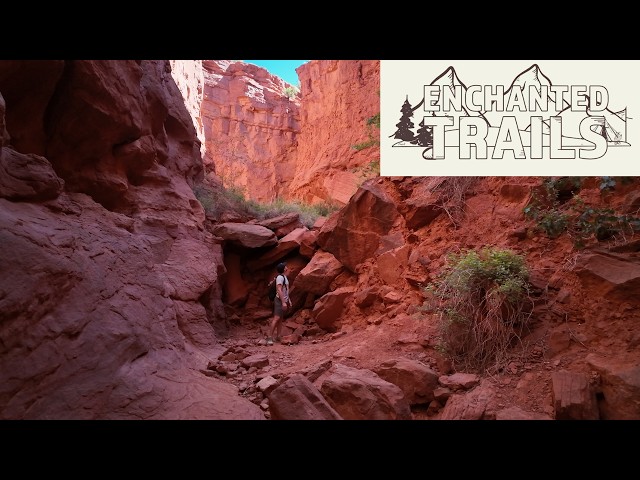The Red Rocks trail provides the most unique views the land of enchantment has to offer
