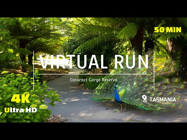 Virtual Run Trail - Trail Run 4K - Treadmill Workout -Cataract Gorge - Scenery Tasmania