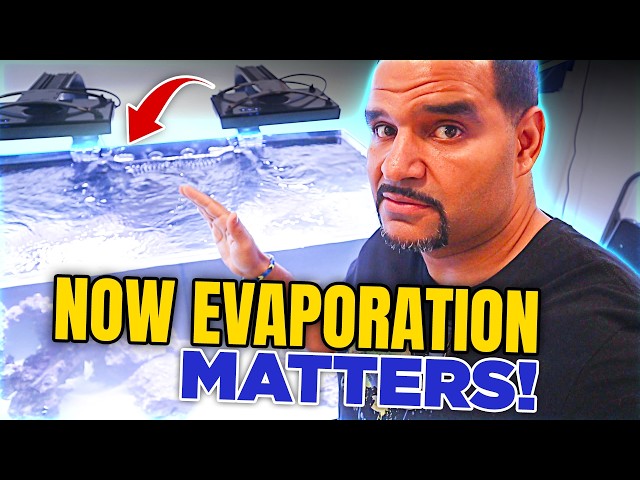 What Happens When Saltwater Aquarium Evaporation Gets Out of Control?