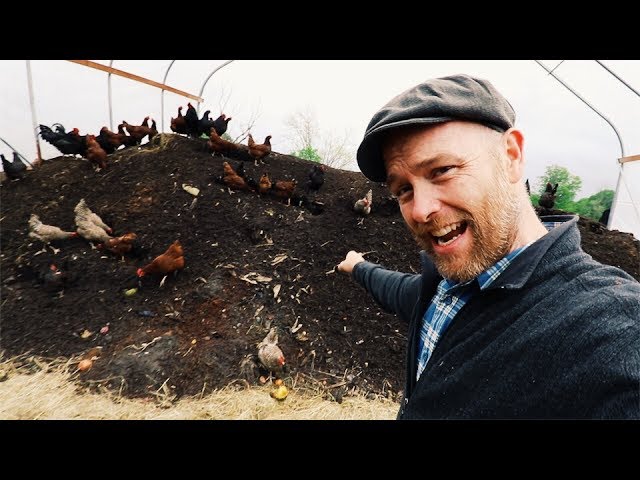 How Karl Hammer Feeds 600 Chickens (Without Grains)