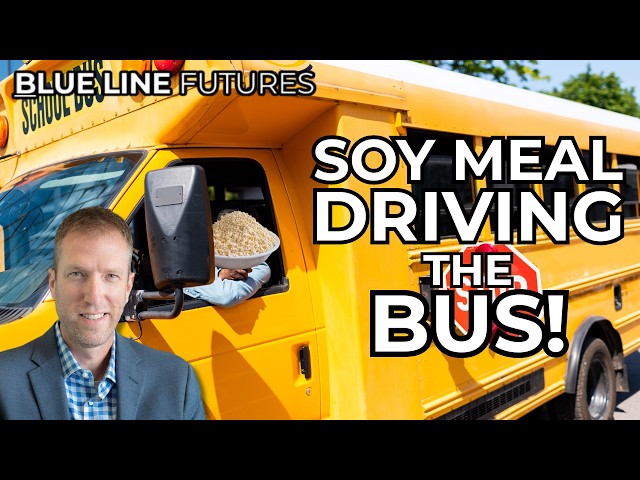 Soy Meal Is Still Driving the Bus, and Corn Just Hit a Key Rejection Level | Jason Gehler 9/17