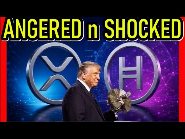 XRP HBAR THE DEBUT EVERYONE IS TALKING ABOUT