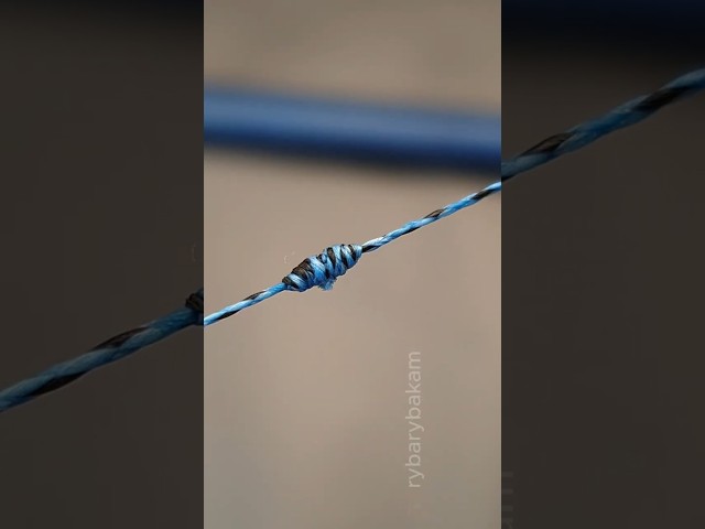 How to Tie Broken Fishing Line Together! 🎣 #shorts