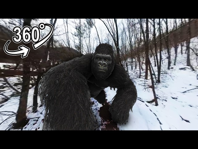 Bigfoot Chasing Me in Winter Woods...😱 | VR 360°