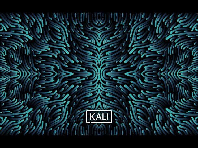 Kali Linux အသုံးပြုခြင်း
