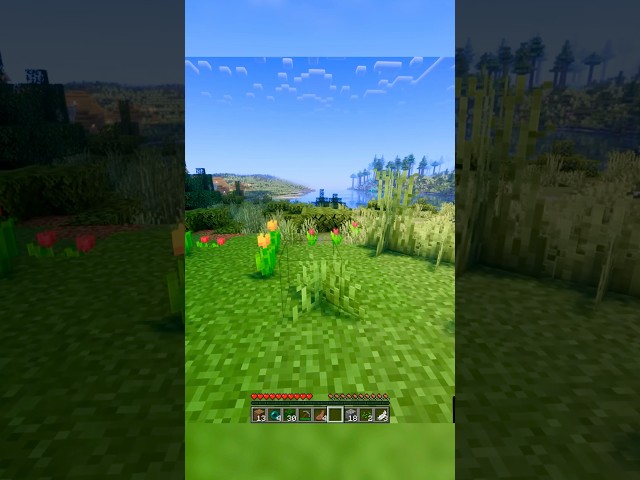 Oo a nice village ๐โฆ #tweening #minecraft