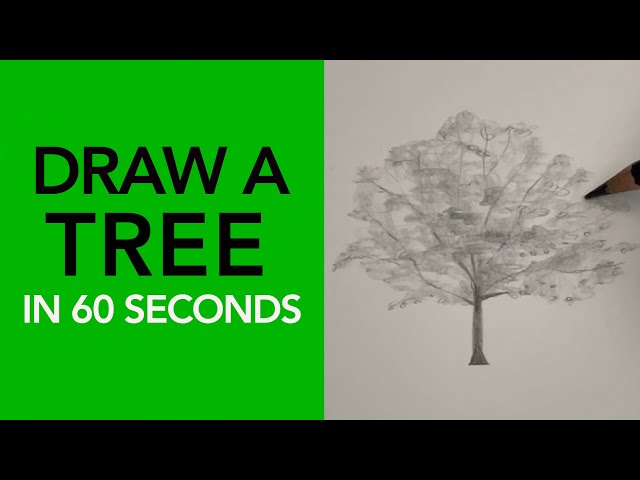 Learn to draw a tree! 🌳 | Drawing Tutorial #shorts
