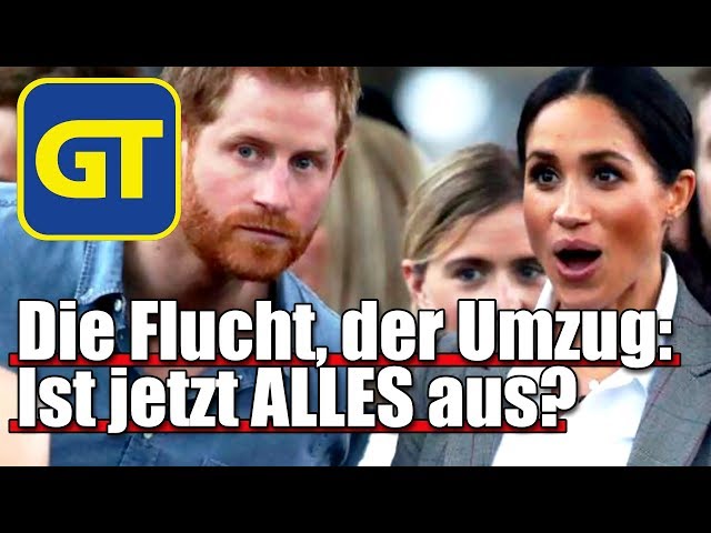 FEITHZEIT REVUE am ENDE: Umzug mit Hindernissen +++ DAS schleppen sie mit sich herum +++ GT Live