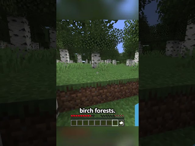 Speedrunning a random item 14