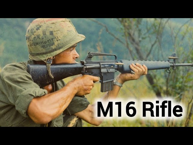 The M16 Rifle: A Comprehensive Guide