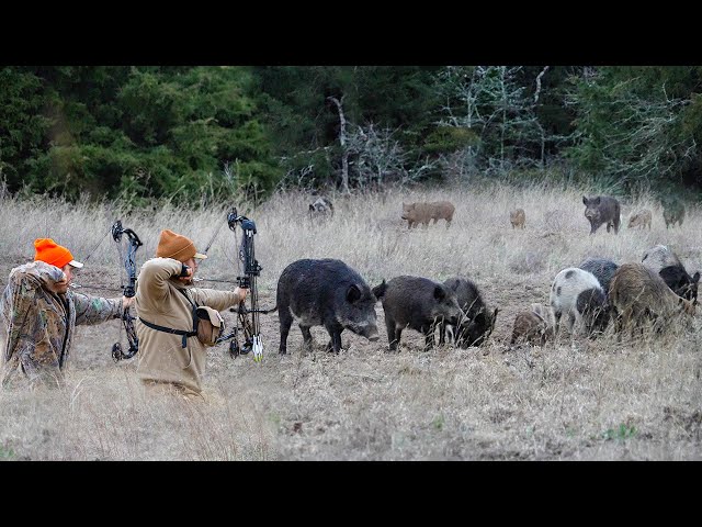 3... 2... 1... SHOOT! | HUGE BOAR HOG Hunting Spot and Stalk