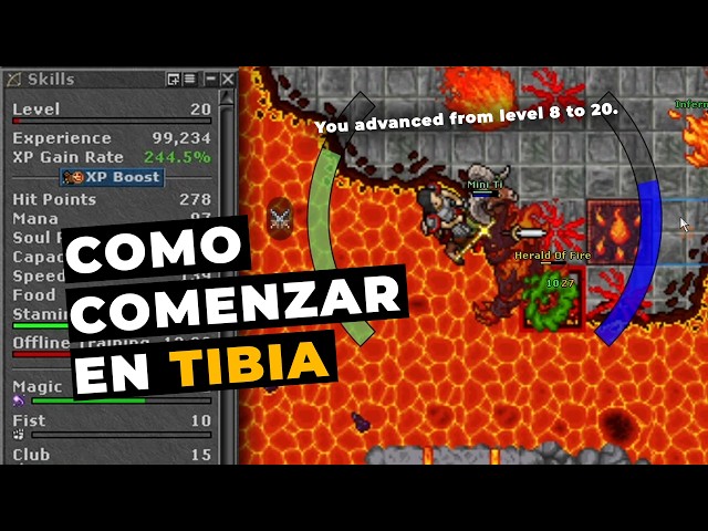 TIBIA / HOW TO LEVEL UP FROM 8 TO 20 IN 2026