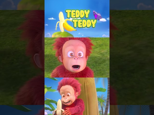 Orangutan Babies | Teddy Teddy | Sing Along