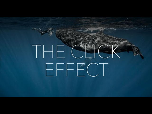 The Click Effect