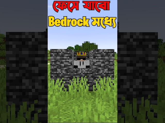 Minecraft But You Can Control Bedrock #minecraft