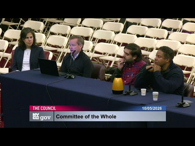🔴 LIVE: Public Testimony at NYC Council Hearing on AI Safeguards