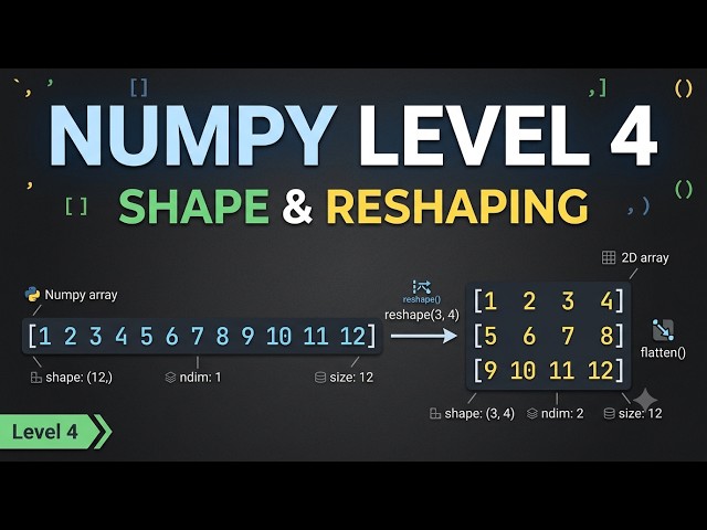 NumPy Level 4 Practice | Shape & Reshaping | reshape(), ndim, shape, size & flatten()