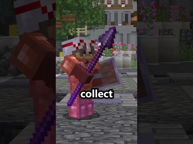 Who has the highest rank on this Minecraft FFA Server...
