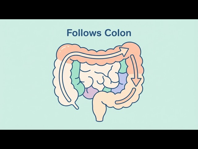 Child Abdominal Pain: Red Flags Every Parent Must Know