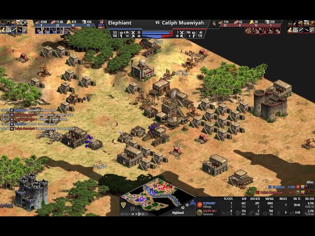 AoE II DE - Half baked archer rush - Knights - Beserkers - Extreme AI