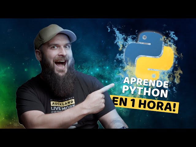 Python from scratch in one hour for beginners!