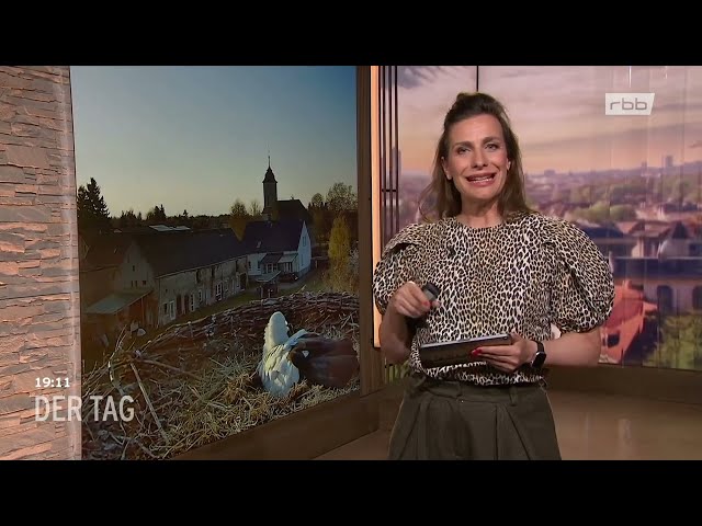 Clip from rbb Television - "Der Tag" on 04/10/2026