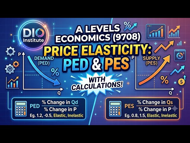 Price Elasticity of Demand (PED) & Price Elasticity of Supply (PES) with Calculations! | Economics 