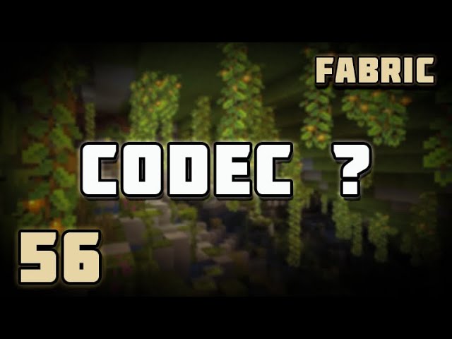 Understanding Codec - Fabric Modding Minecraft 1.21.3 | #56