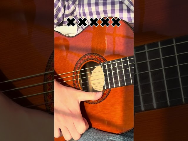 Flamenco easy tutorial step by step