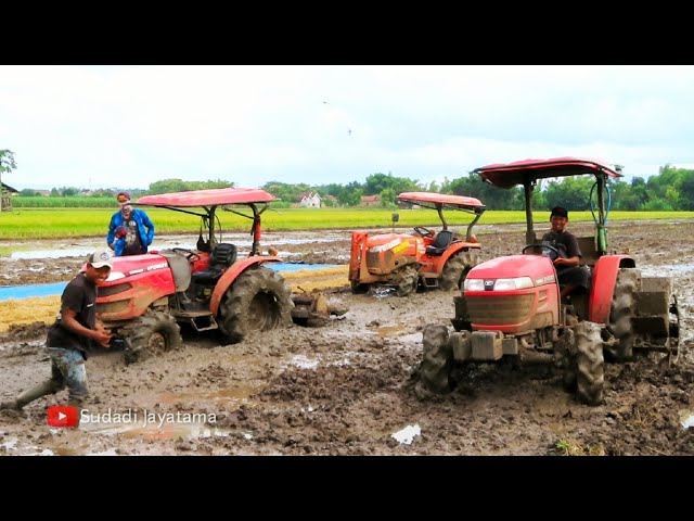 TIGA TRAKTOR SAWAH BESAR YANMAR EF393T EF494T KUBOTA L4018 DALAM SATU LAHAN BY PAK BASUKI dkk