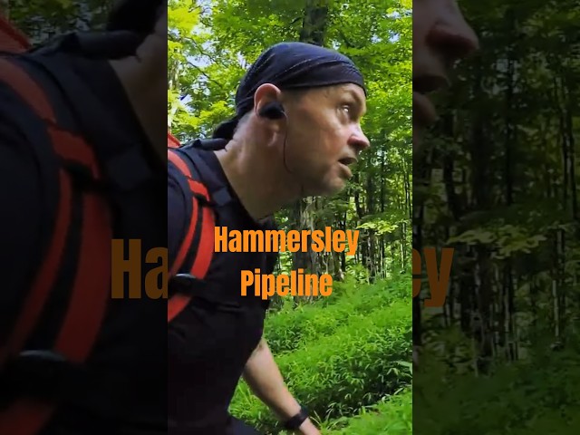 The Hammersley Pipeline #shorts #hiking #mountains #nature #camping #backpacking