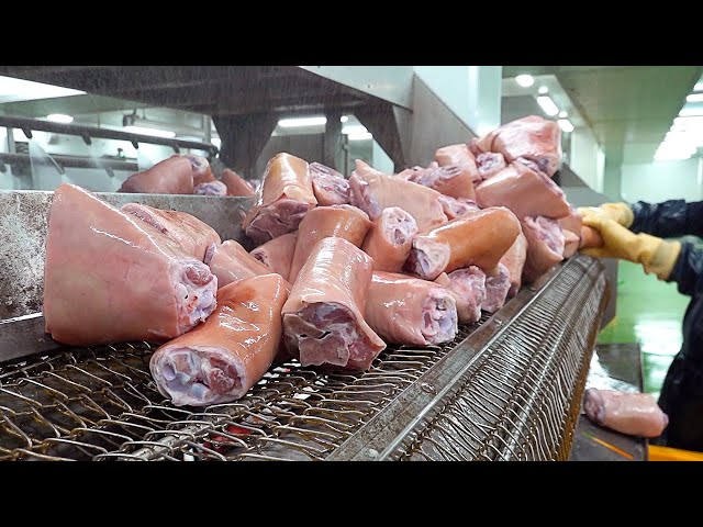 식품공장 Amazing scale! Food Factory Mass Production Collection #2 - Korean food factory
