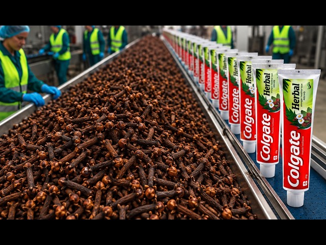 Colgate Herbal Toothpaste: Inside the Factory From Field to Tube