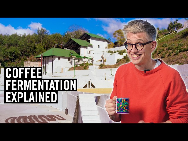 I Went To Guatemala To Explain Why All Coffee Is Fermented