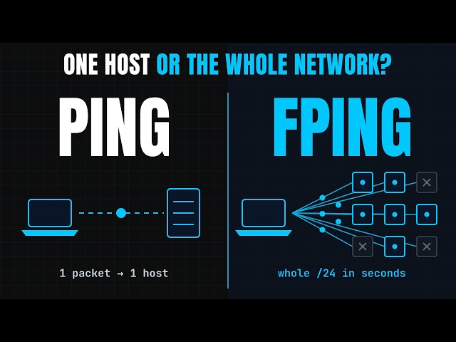 Ping Explained for Beginners: Network Scanning, TTL & OS Detection
