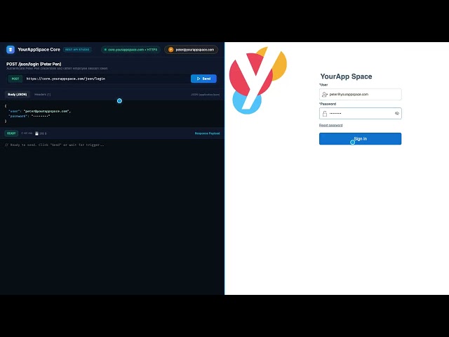 Instant REST APIs, Granular Security & Custom Logic | YourAppSpace Core Tutorial