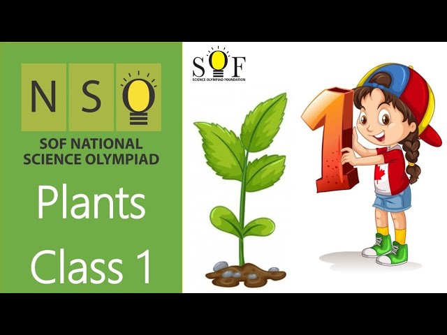 NSO Science Olympiad Class 1 | Plants