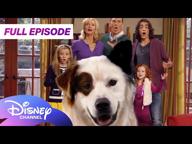 Dog with a Blog First Full Episode 🐶  | S1 E1 | Stan of the House | Disney Channel