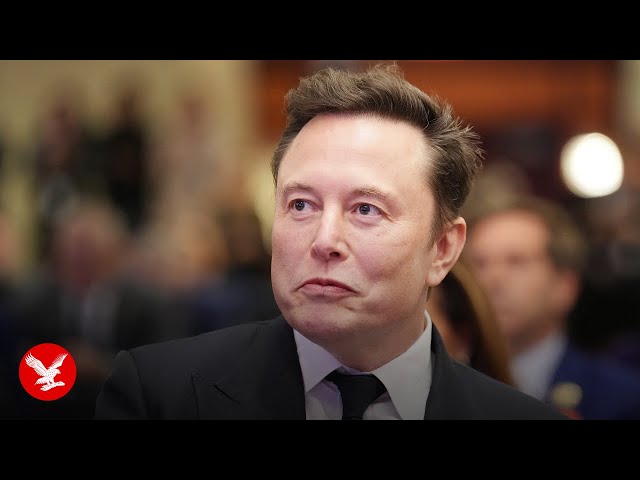 Elon Musk claims work will be 'optional' with the rise of AI and robots