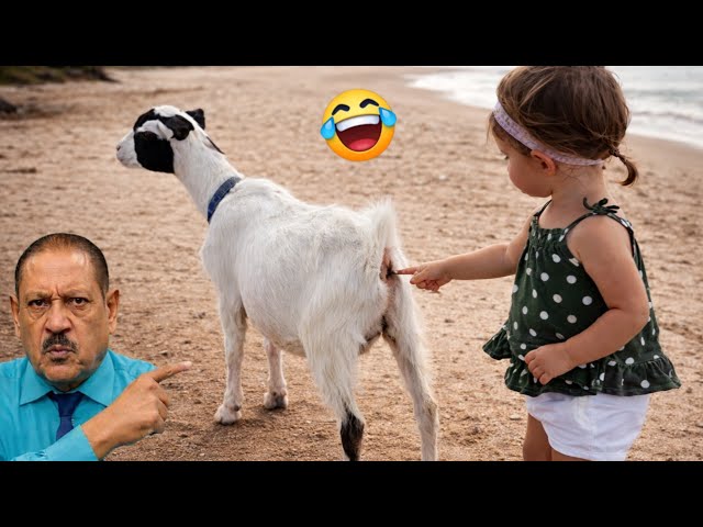 Try Not to Laugh Challenge #9 🤣 Best Fails of the Week