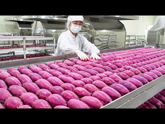 Satisfying Videos of Workers Doing Their Jobs Perfectly | Most Skilled Workers