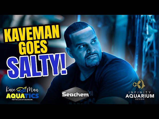 What Happens When You Start a Saltwater Aquarium?