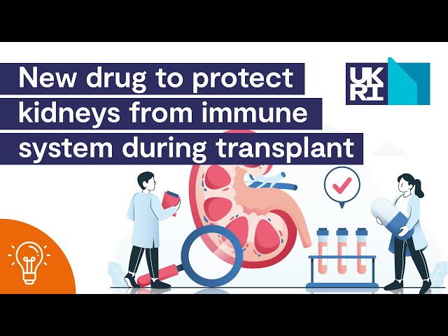 Kidney Perfusion | New Drug to Protect Kidneys From Immune System During Transplant