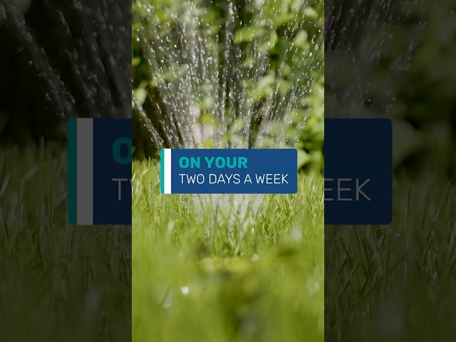 (Audio Descriptions) Stage 1 drought assigned lawn watering days