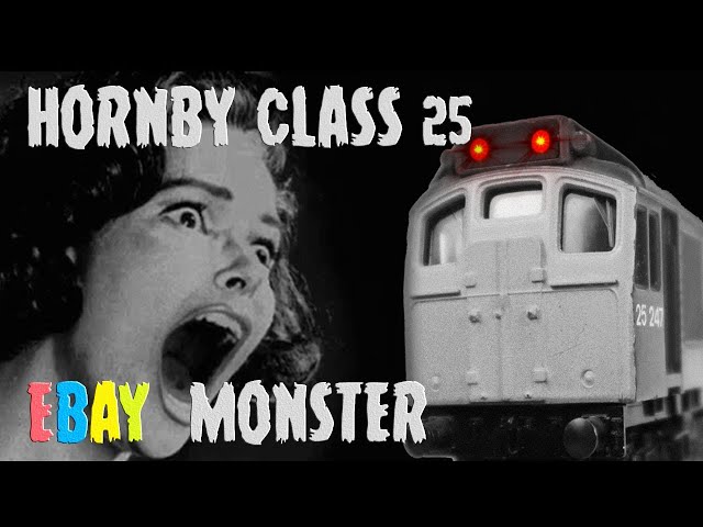 Hornby Class 25 Ebay Disaster! 😭 Someone Created a Monster 👹