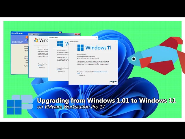 Upgrading from Windows 1.01 to Windows 11 on VMware Workstation Pro 17